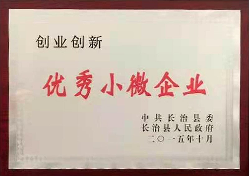 優(yōu)秀小微企業(yè)