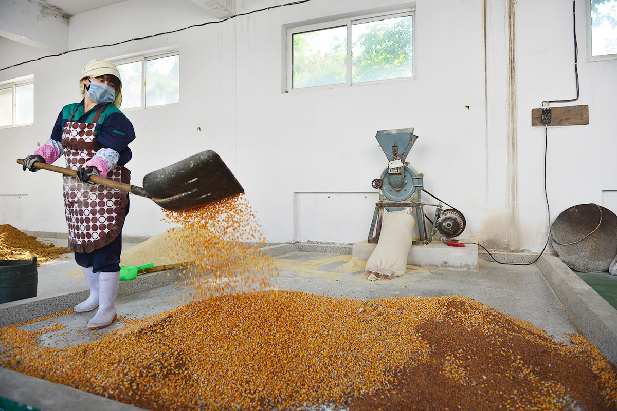 1650701735648993.jpg 1.jpg