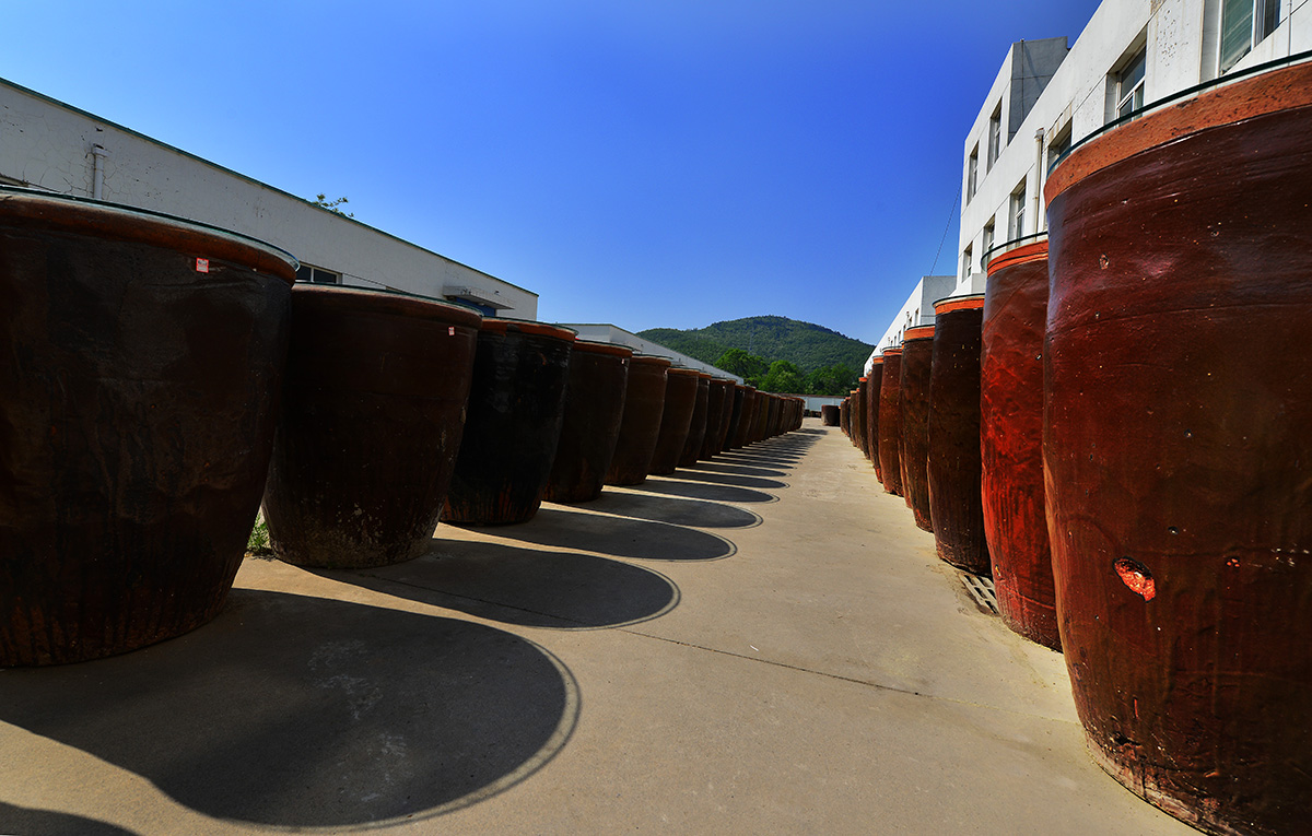 1650701807608619.jpg 6.jpg